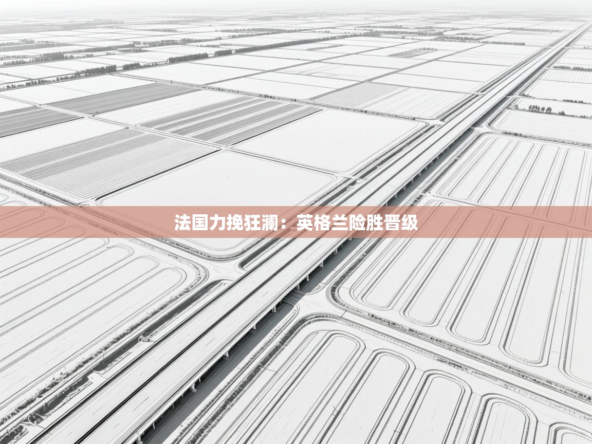 法国力挽狂澜:英格兰险胜晋级 第2张